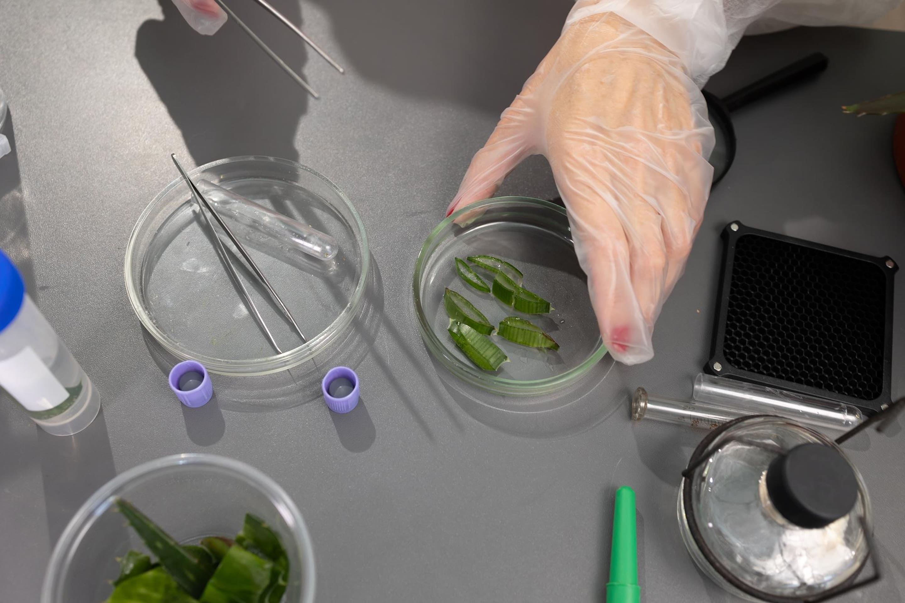 Redefining Ingredients, Perfecting Taste.